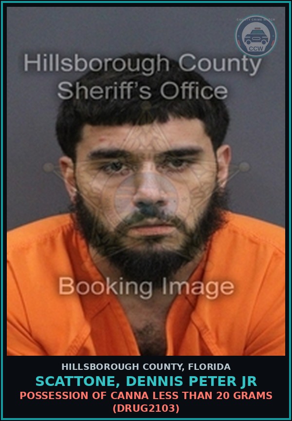 Booking mugshot of SCATTONE, DENNIS PETER JR in Hillsborough County