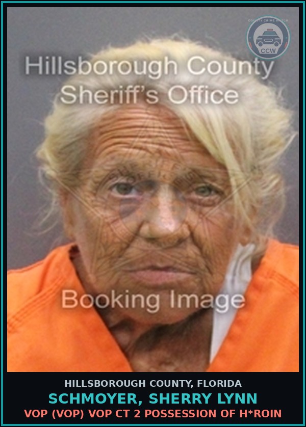 Booking mugshot of SCHMOYER, SHERRY LYNN in Hillsborough County