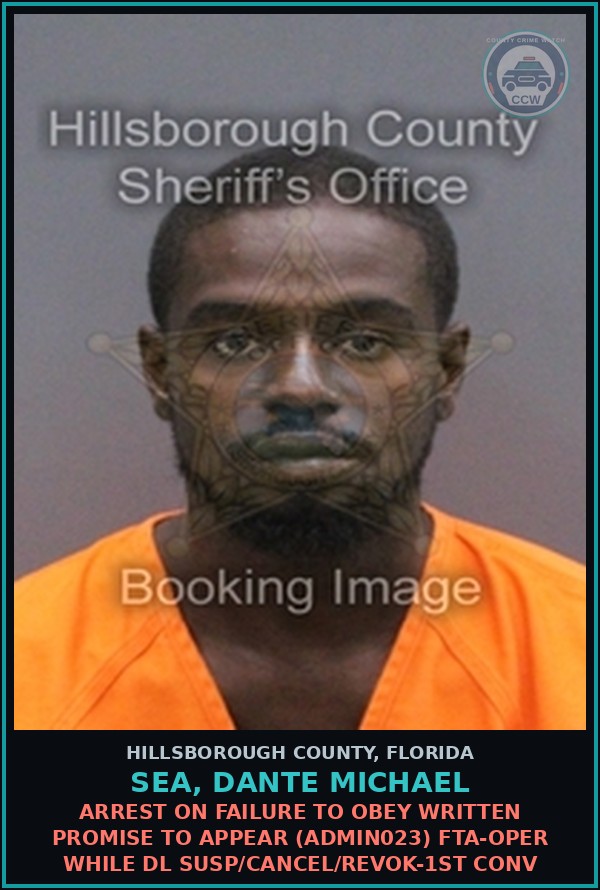 Booking mugshot of SEA, DANTE MICHAEL in Hillsborough County
