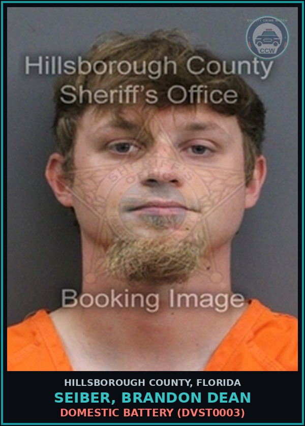 Booking mugshot of SEIBER, BRANDON DEAN in Hillsborough County