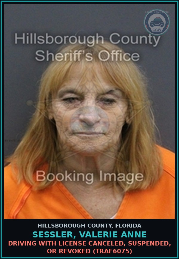 Booking mugshot of SESSLER, VALERIE ANNE in Hillsborough County