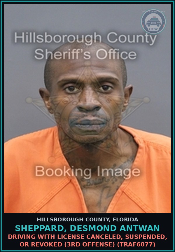 Booking mugshot of SHEPPARD, DESMOND ANTWAN in Hillsborough County