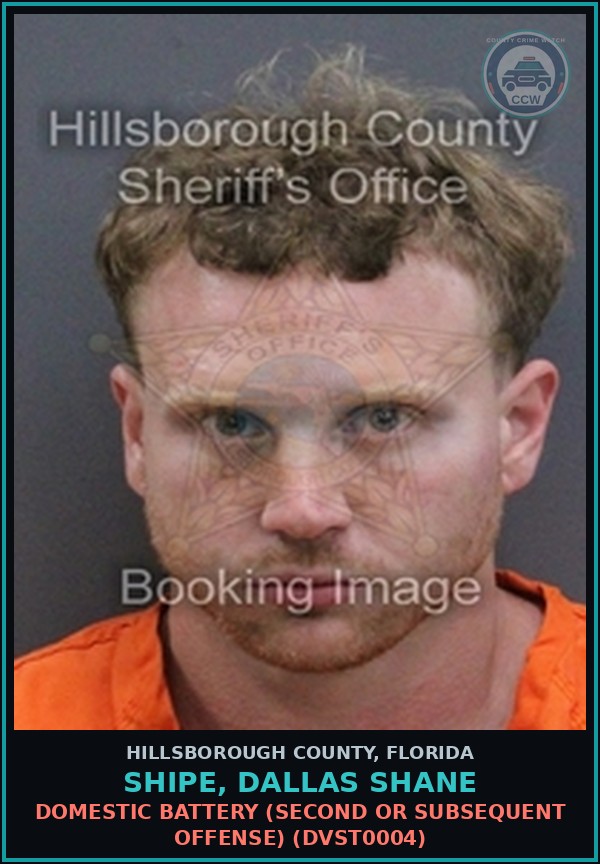 Booking mugshot of SHIPE, DALLAS SHANE in Hillsborough County