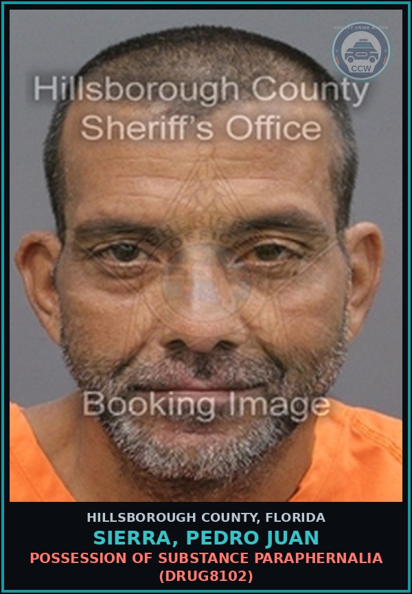Booking mugshot of SIERRA, PEDRO JUAN in Hillsborough County