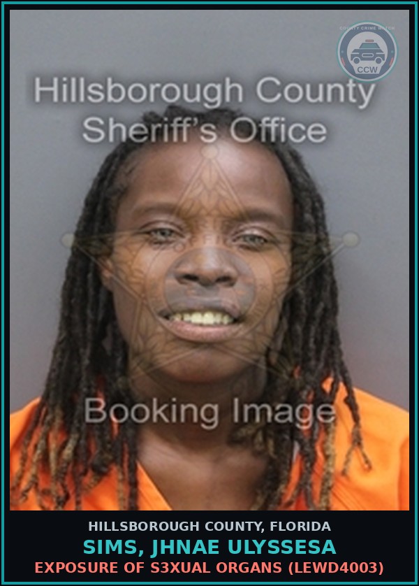 Booking mugshot of SIMS, JHNAE ULYSSESA in Hillsborough County