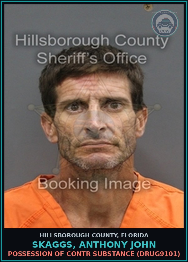 Booking mugshot of SKAGGS, ANTHONY JOHN in Hillsborough County