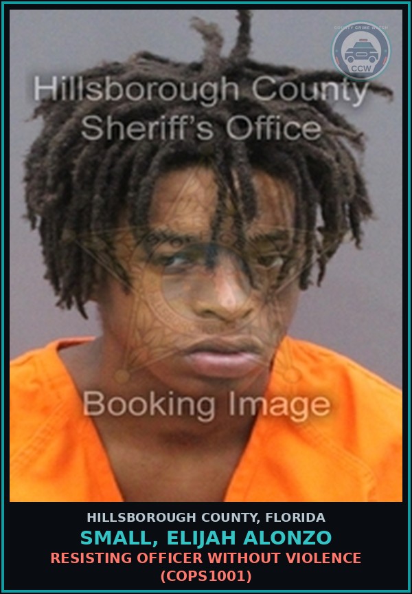 Booking mugshot of SMALL, ELIJAH ALONZO in Hillsborough County
