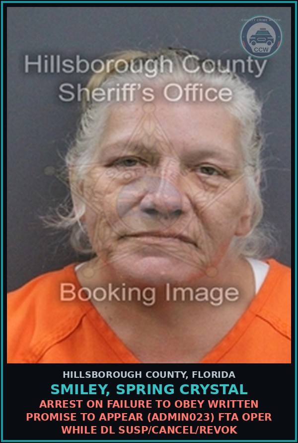 Booking mugshot of SMILEY, SPRING CRYSTAL in Hillsborough County