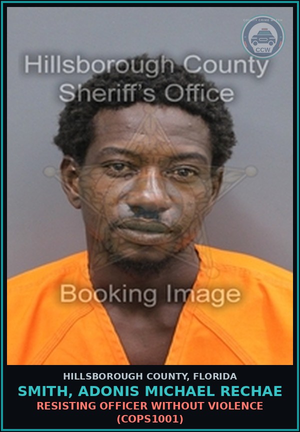 Booking mugshot of SMITH, ADONIS MICHAEL RECHAE in Hillsborough County