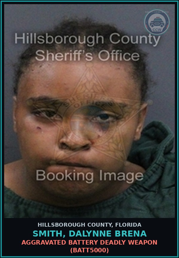 Booking mugshot of SMITH, DALYNNE BRENA in Hillsborough County