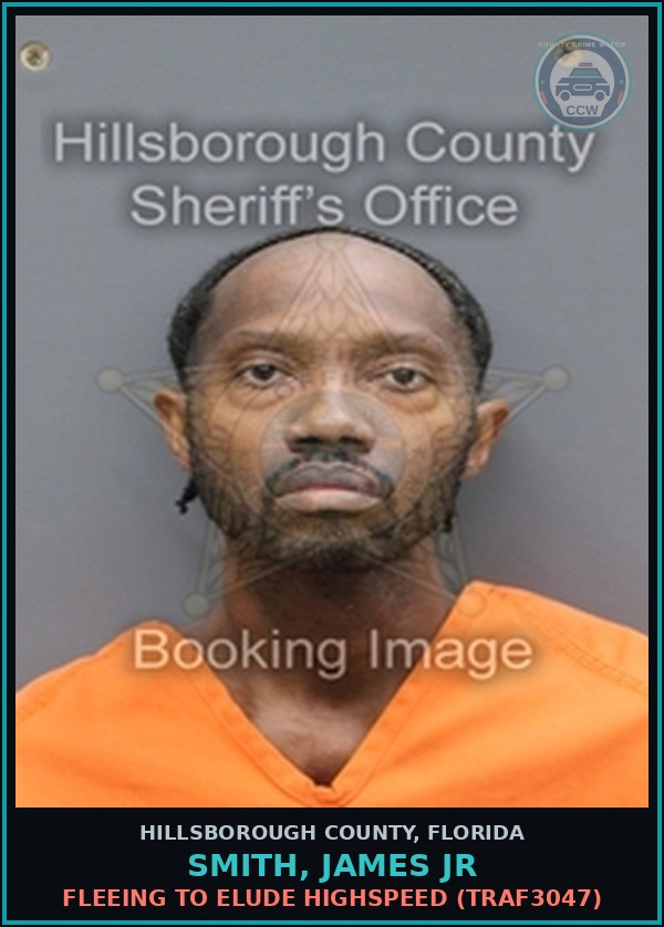 Booking mugshot of SMITH, JAMES JR in Hillsborough County