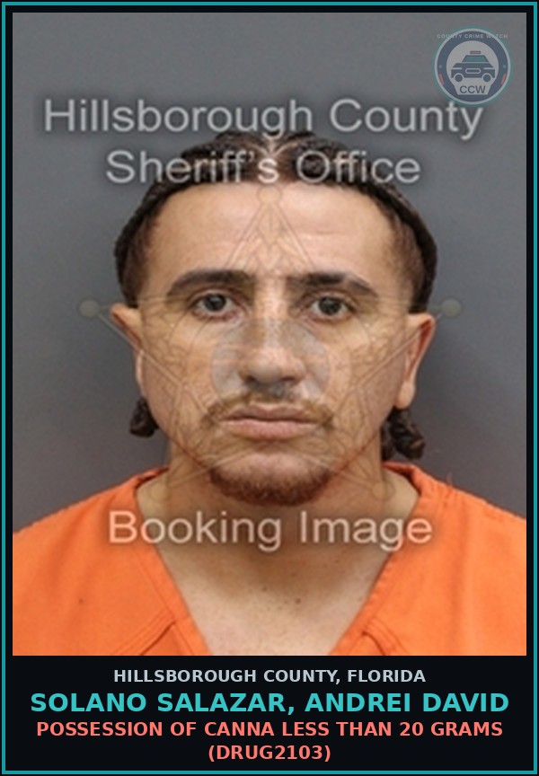 Booking mugshot of SOLANO SALAZAR, ANDREI DAVID in Hillsborough County
