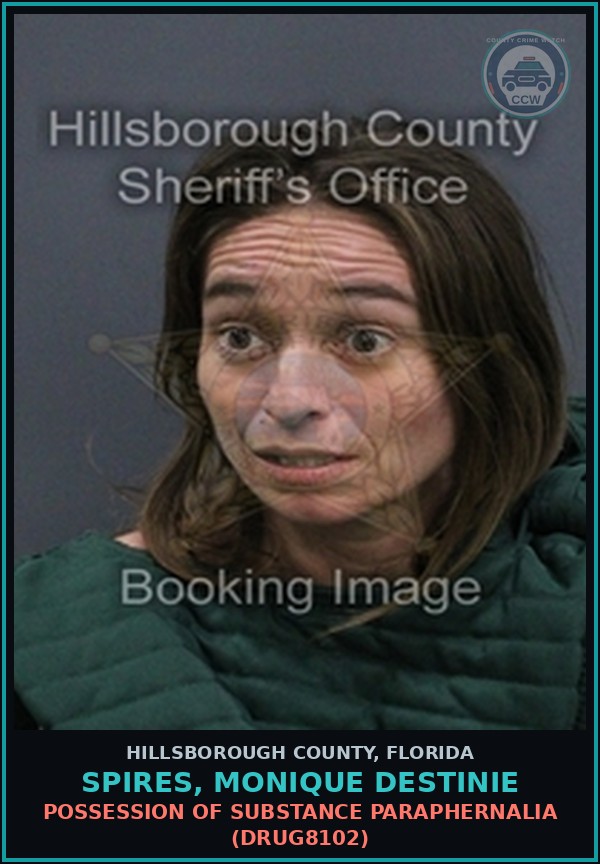 Booking mugshot of SPIRES, MONIQUE DESTINIE in Hillsborough County