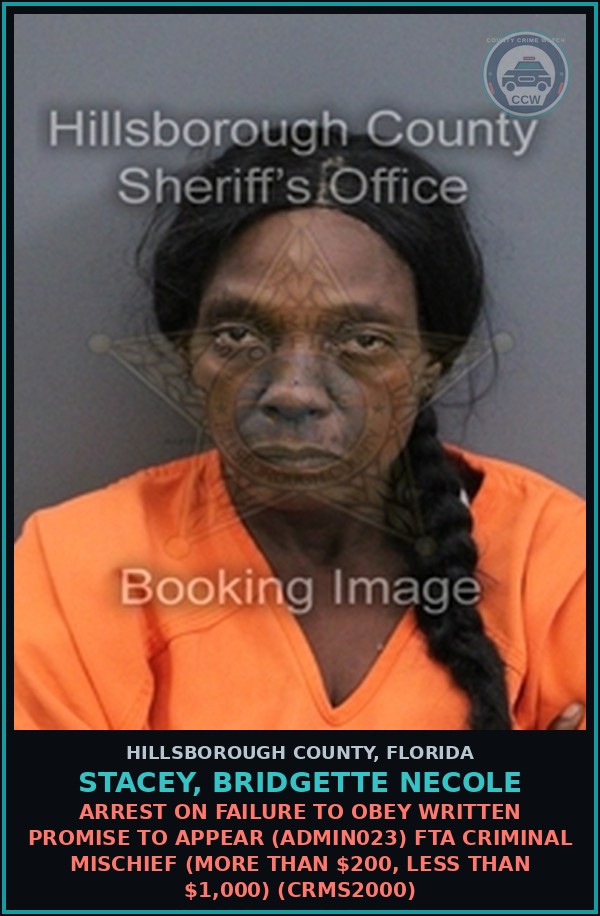 Booking mugshot of STACEY, BRIDGETTE NECOLE in Hillsborough County