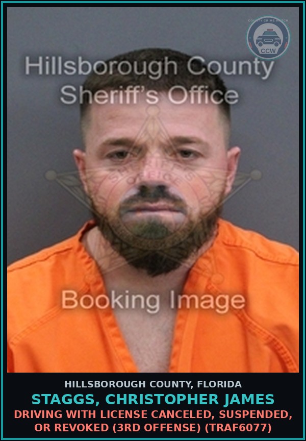 Booking mugshot of STAGGS, CHRISTOPHER JAMES in Hillsborough County