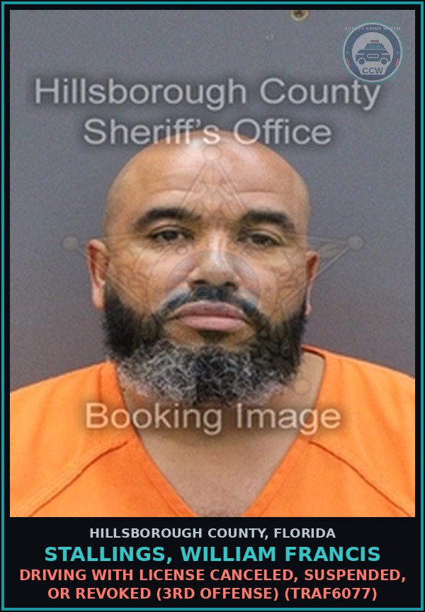 Booking mugshot of STALLINGS, WILLIAM FRANCIS in Hillsborough County