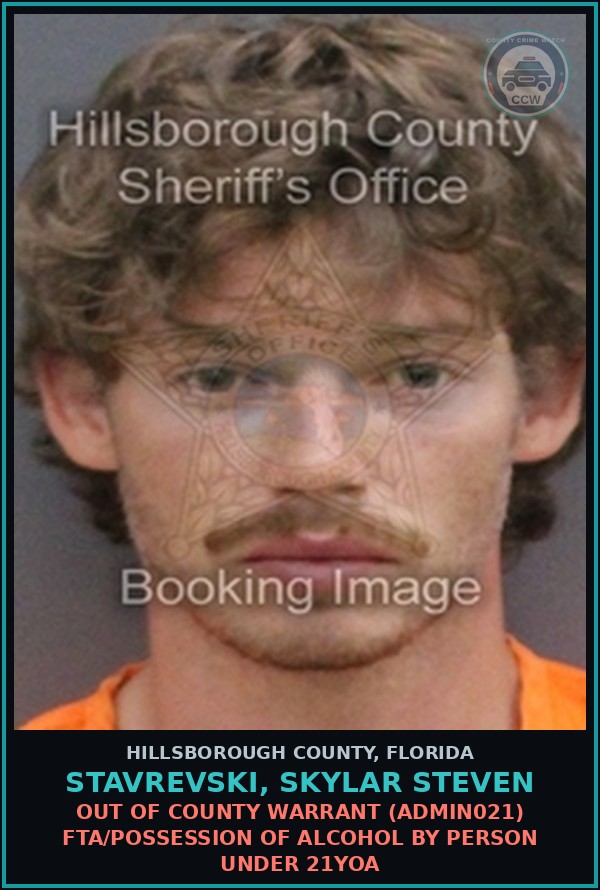 Booking mugshot of STAVREVSKI, SKYLAR STEVEN in Hillsborough County