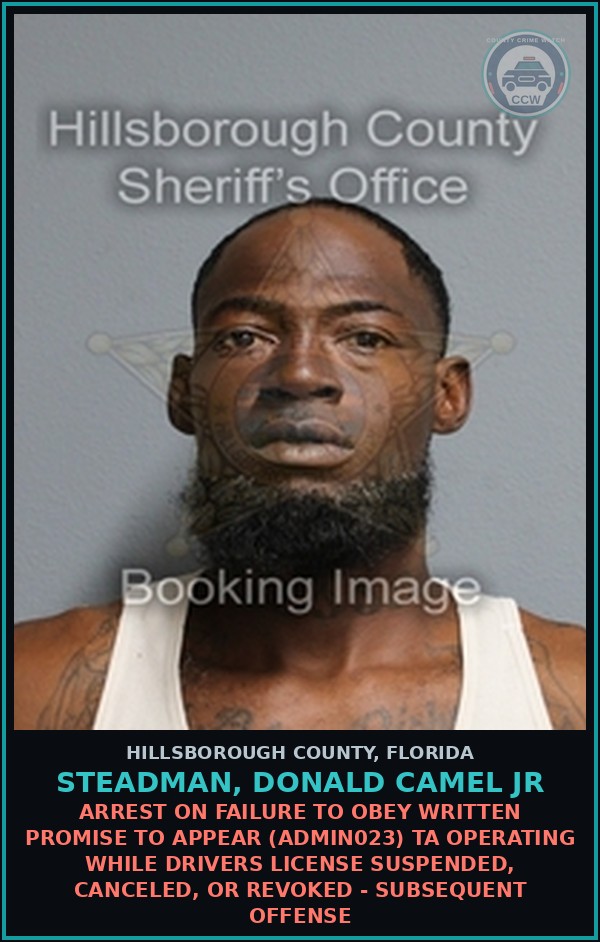 Booking mugshot of STEADMAN, DONALD CAMEL JR in Hillsborough County