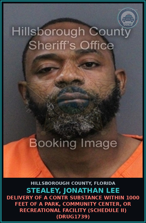 Booking mugshot of STEALEY, JONATHAN LEE in Hillsborough County