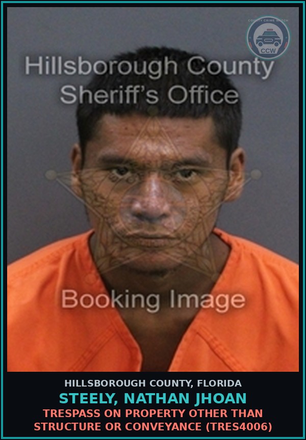 Booking mugshot of STEELY, NATHAN JHOAN in Hillsborough County