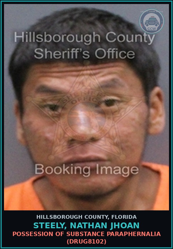 Booking mugshot of STEELY, NATHAN JHOAN in Hillsborough County