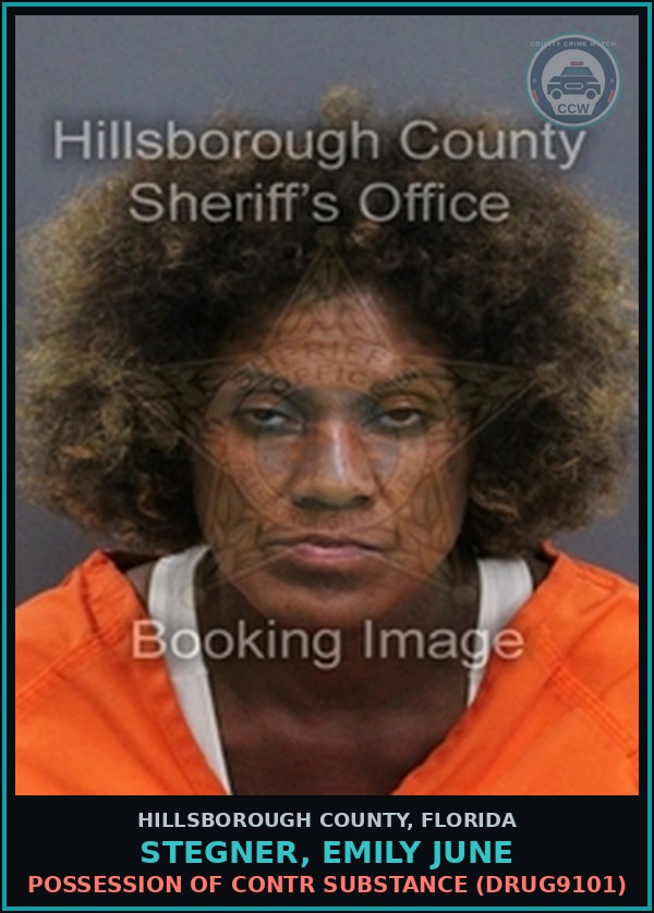 Booking mugshot of STEGNER, EMILY JUNE in Hillsborough County