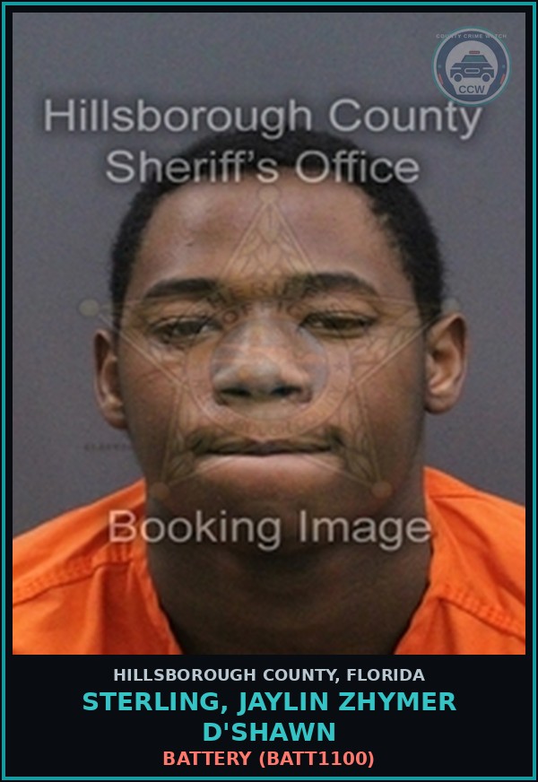 Booking mugshot of STERLING, JAYLIN ZHYMER D'SHAWN in Hillsborough County