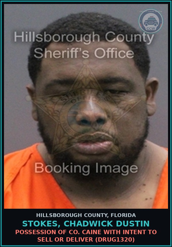 Booking mugshot of STOKES, CHADWICK DUSTIN in Hillsborough County