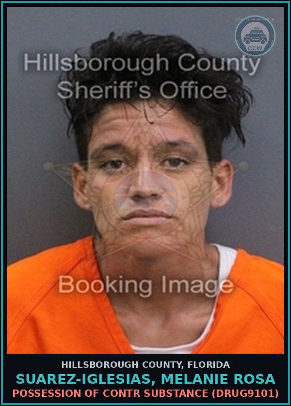 Booking mugshot of SUAREZ-IGLESIAS, MELANIE ROSA in Hillsborough County