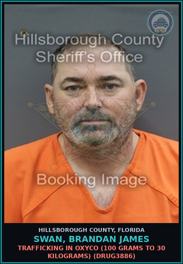 Booking mugshot of SWAN, BRANDAN JAMES in Hillsborough County