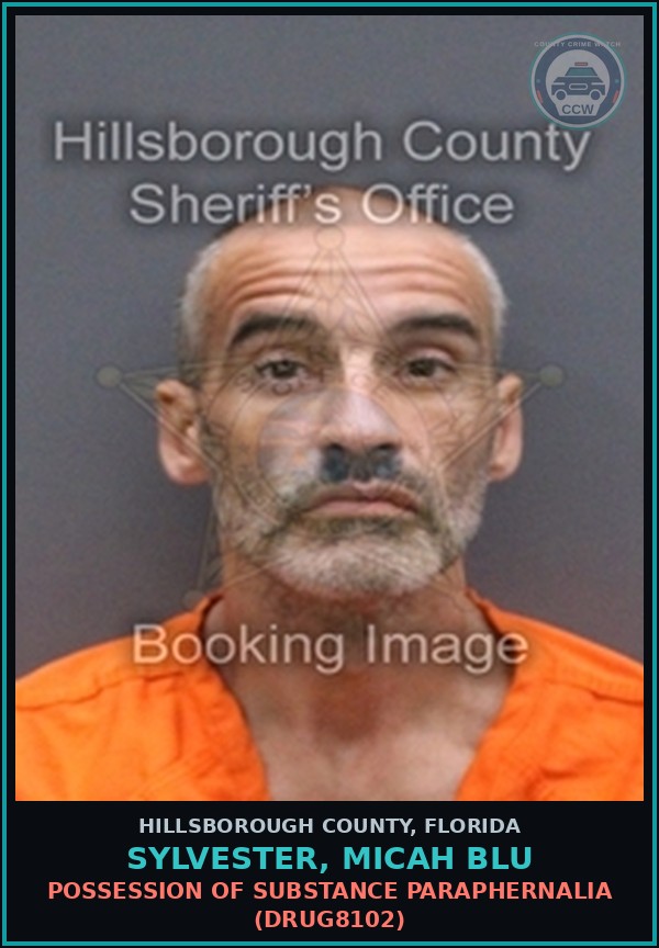 Booking mugshot of SYLVESTER, MICAH BLU in Hillsborough County