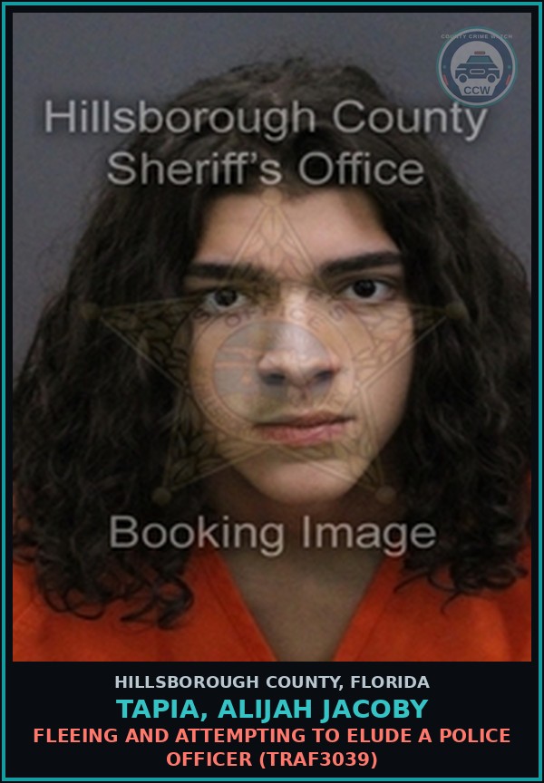 Booking mugshot of TAPIA, ALIJAH JACOBY in Hillsborough County