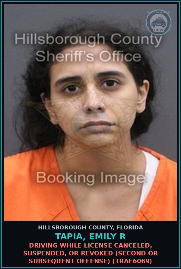 Booking mugshot of TAPIA, EMILY R in Hillsborough County