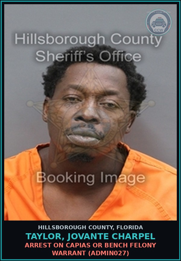 Booking mugshot of TAYLOR, JOVANTE CHARPEL in Hillsborough County