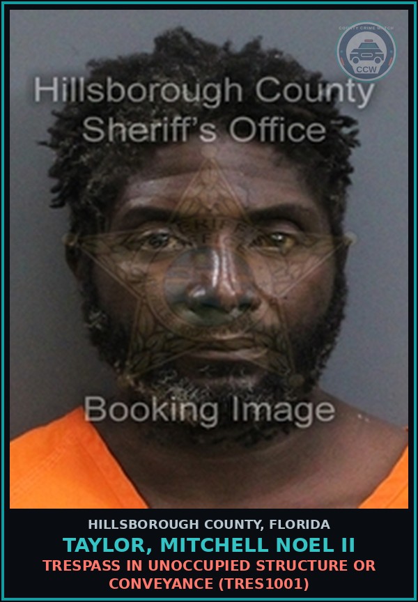 Booking mugshot of TAYLOR, MITCHELL NOEL II in Hillsborough County