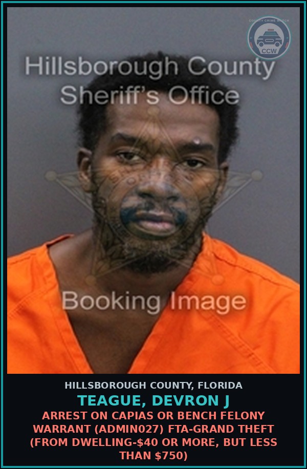 Booking mugshot of TEAGUE, DEVRON J in Hillsborough County