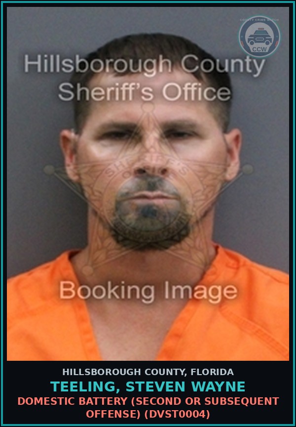 Booking mugshot of TEELING, STEVEN WAYNE in Hillsborough County