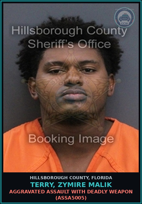 Booking mugshot of TERRY, ZYMIRE MALIK in Hillsborough County