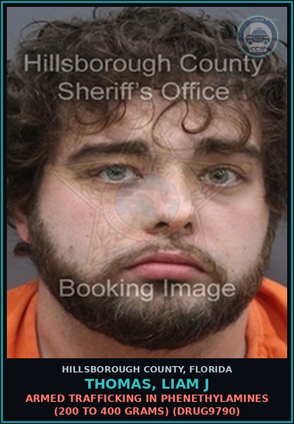 Booking mugshot of THOMAS, LIAM J in Hillsborough County