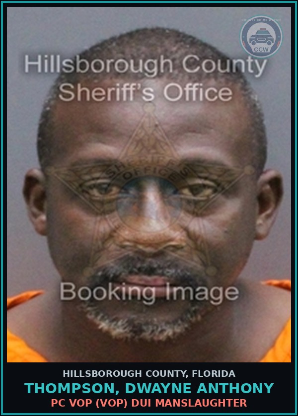 Booking mugshot of THOMPSON, DWAYNE ANTHONY in Hillsborough County