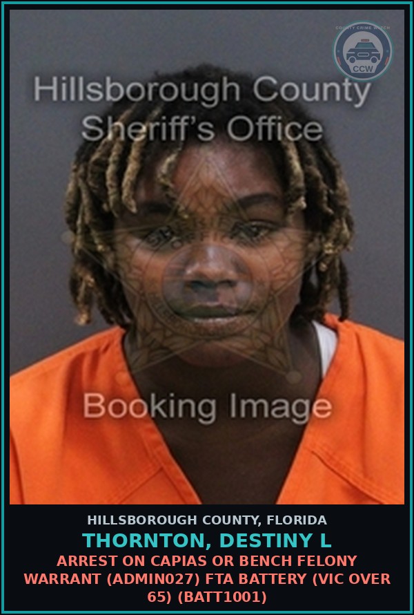Booking mugshot of THORNTON, DESTINY L in Hillsborough County