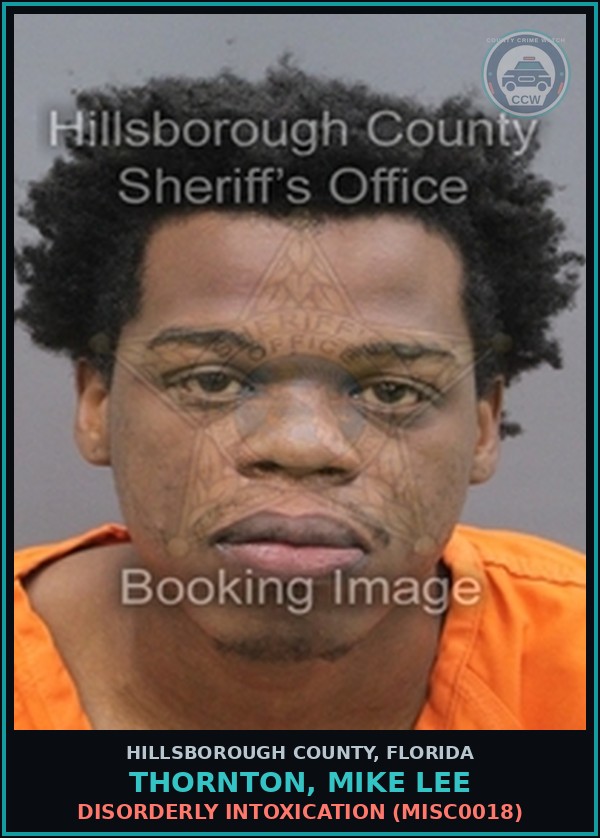Booking mugshot of THORNTON, MIKE LEE in Hillsborough County