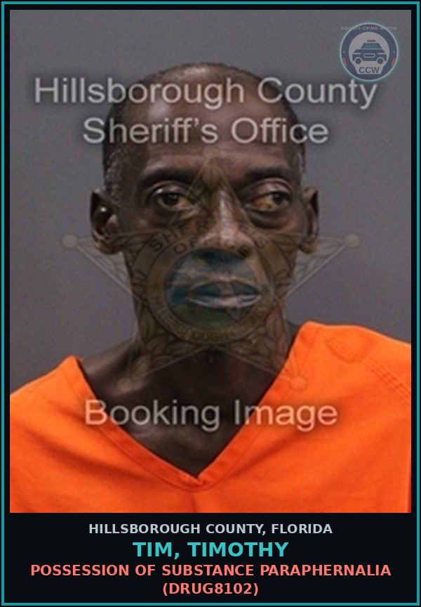 Booking mugshot of TIM, TIMOTHY in Hillsborough County