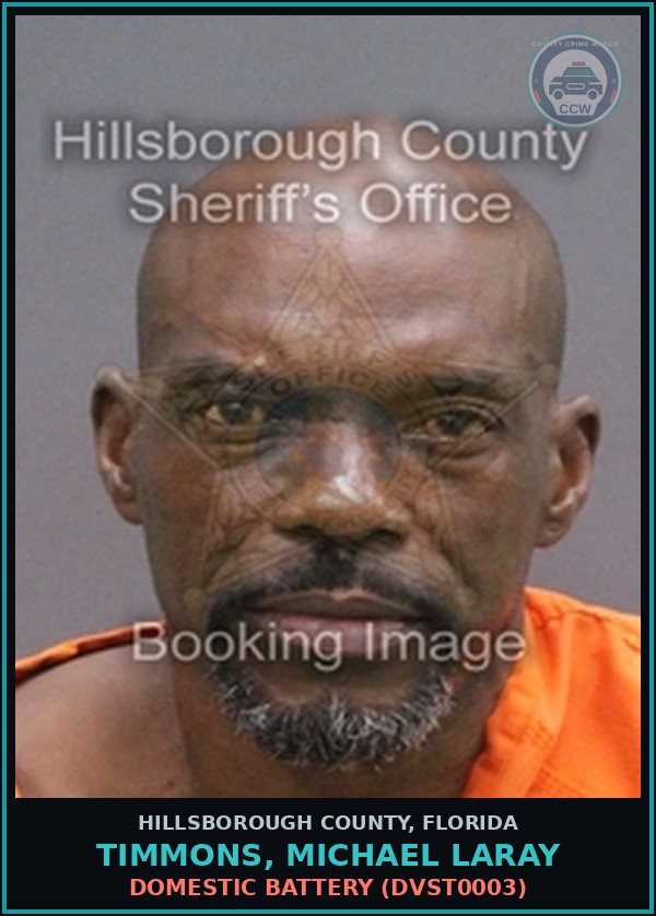 Booking mugshot of TIMMONS, MICHAEL LARAY in Hillsborough County