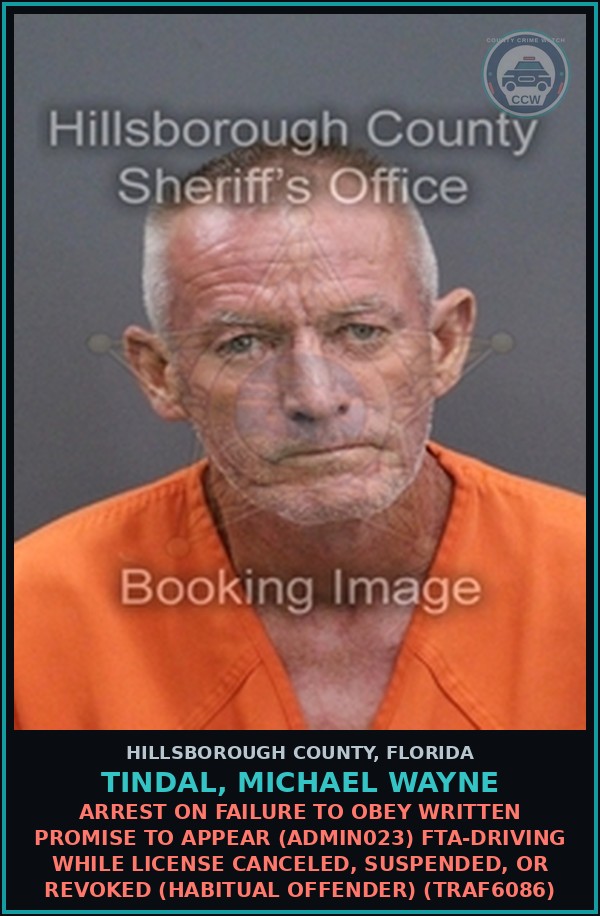 Booking mugshot of TINDAL, MICHAEL WAYNE in Hillsborough County