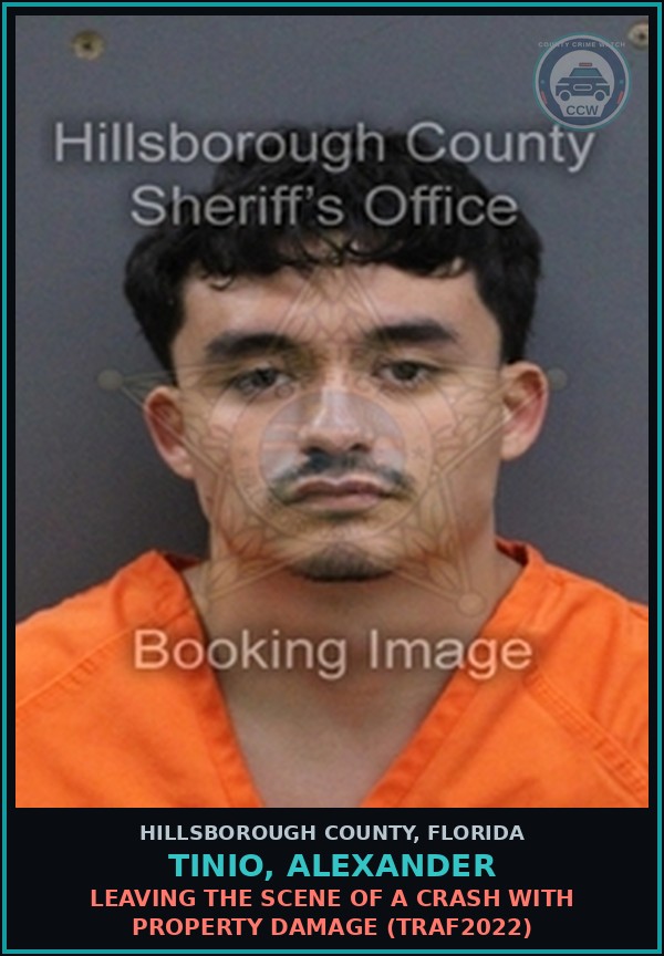 Booking mugshot of TINIO, ALEXANDER in Hillsborough County