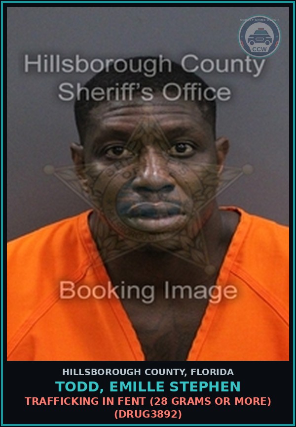 Booking mugshot of TODD, EMILLE STEPHEN in Hillsborough County