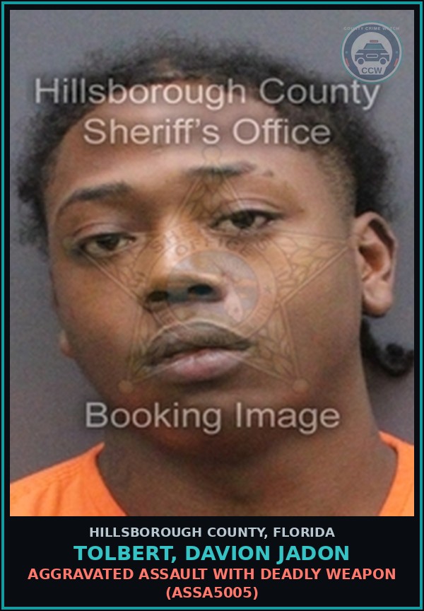Booking mugshot of TOLBERT, DAVION JADON in Hillsborough County