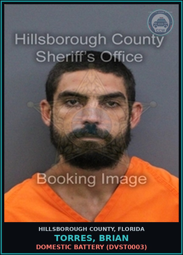 Booking mugshot of TORRES, BRIAN in Hillsborough County