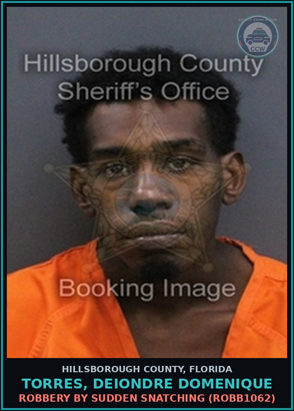 Booking mugshot of TORRES, DEIONDRE DOMENIQUE in Hillsborough County